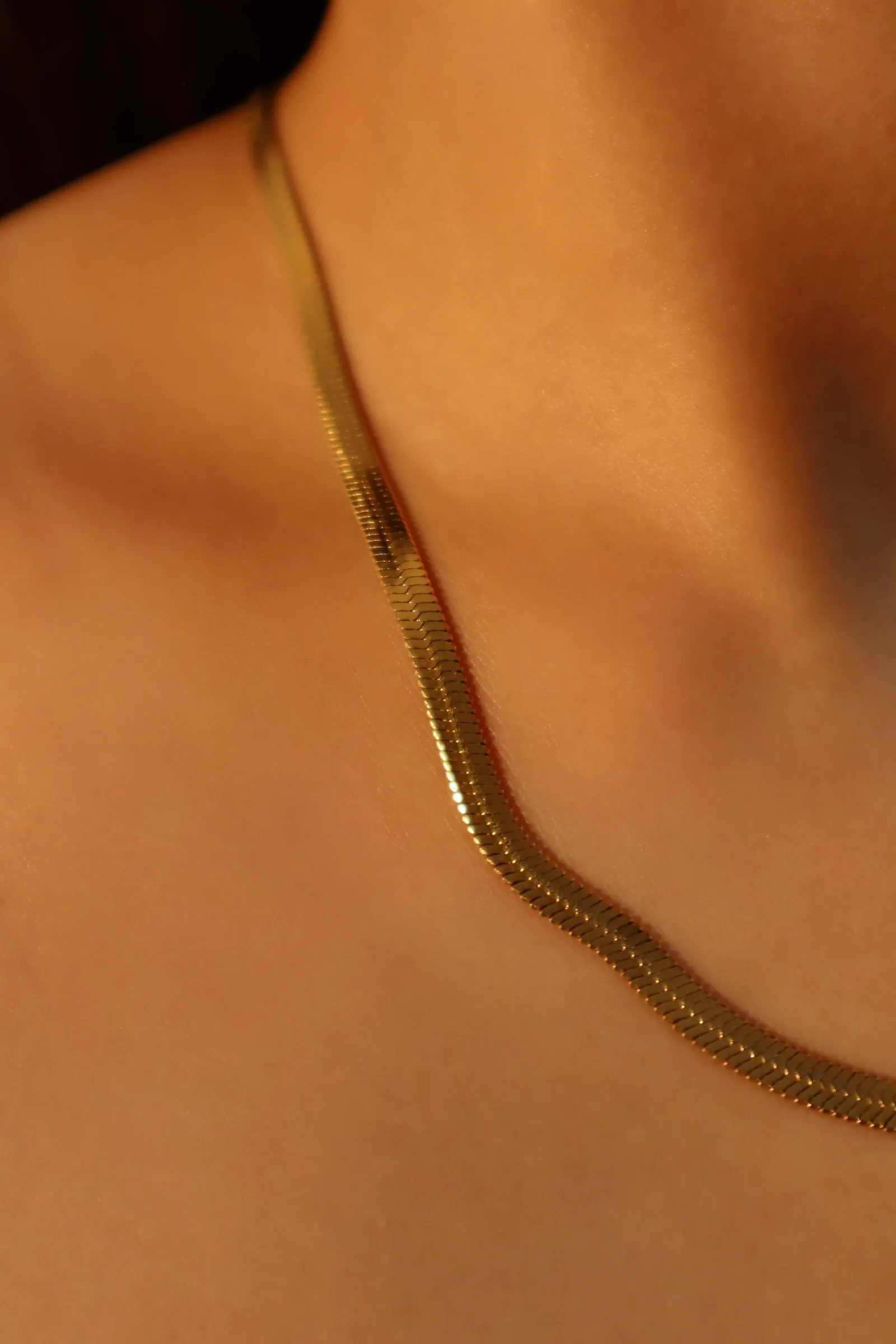18K gold stainless steel Chain Necklace