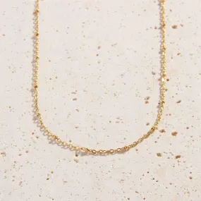 Antonia Chain Necklace