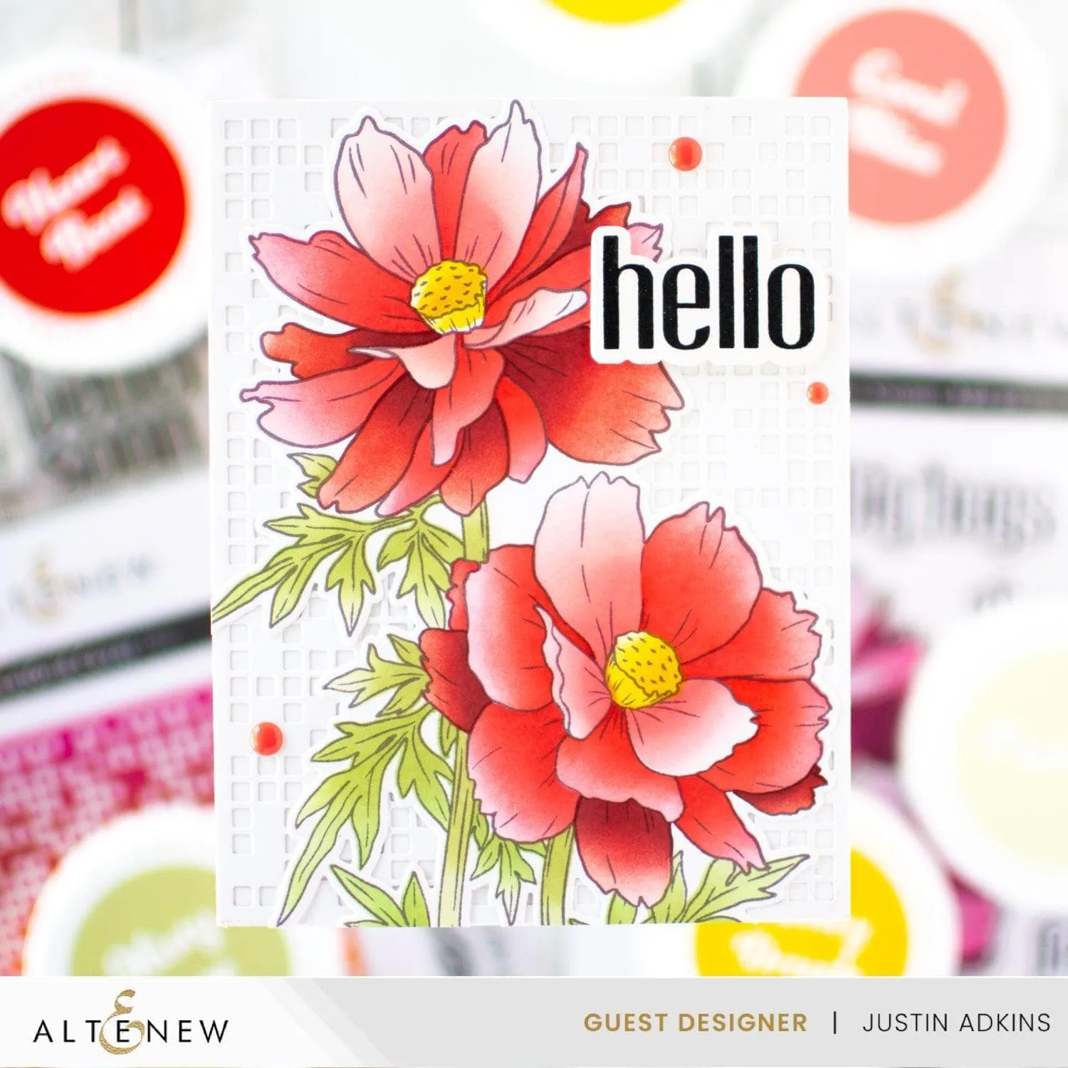 Build-A-Garden: Sulfur Cosmos & Artist Alcohol Markers Set Bundle