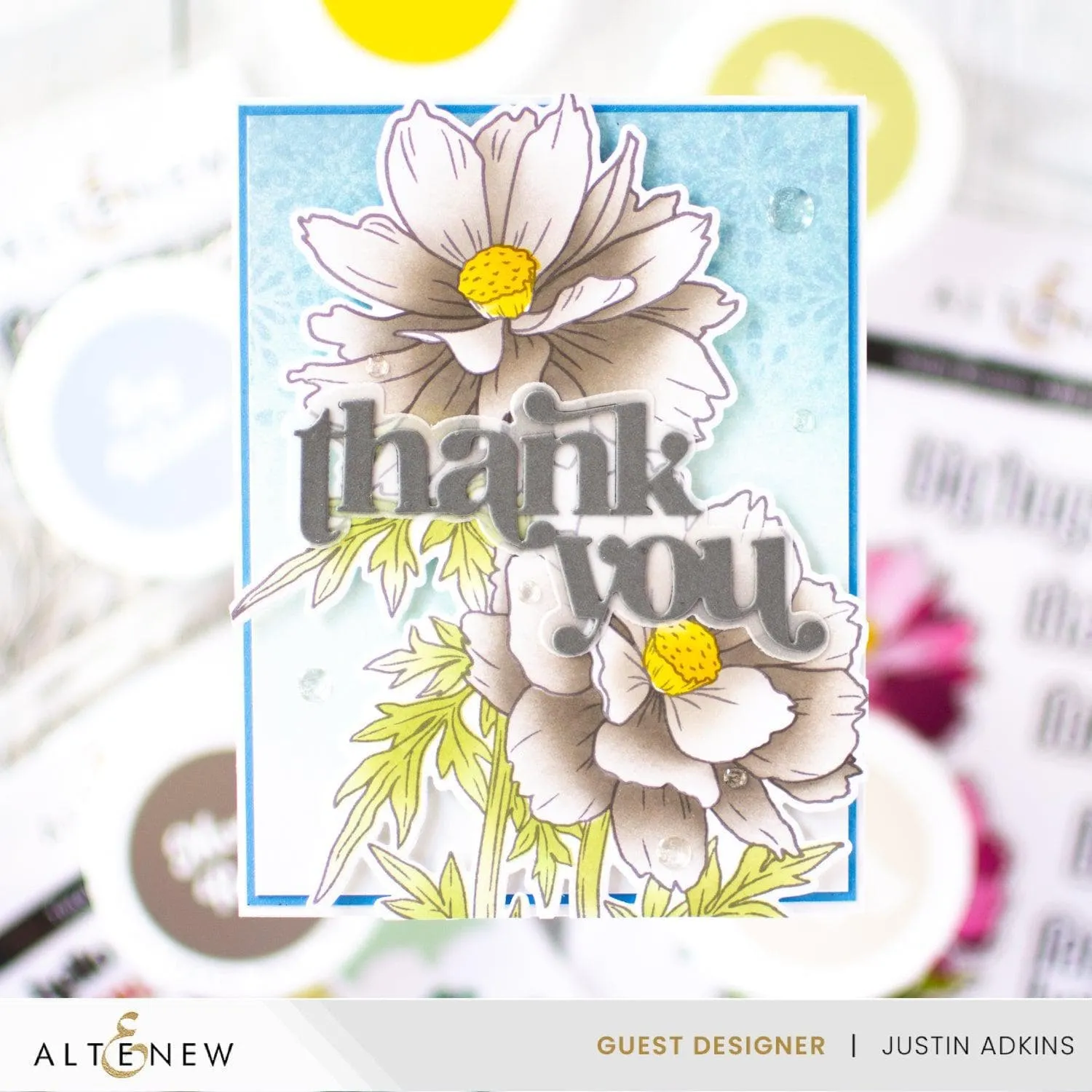 Build-A-Garden: Sulfur Cosmos & Artist Alcohol Markers Set Bundle