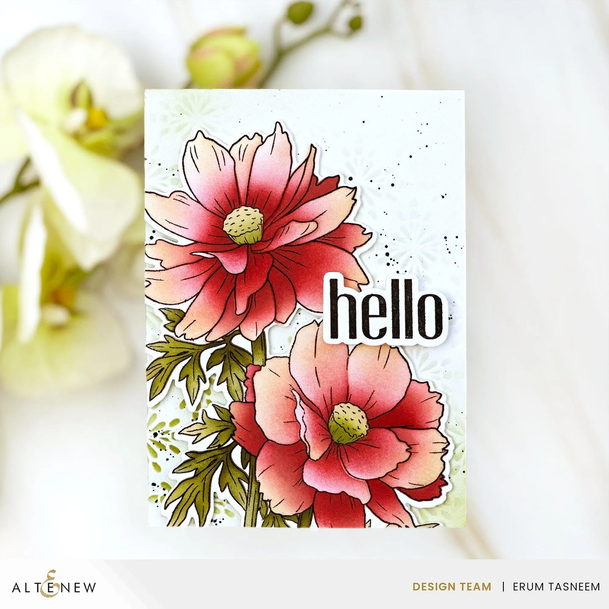 Build-A-Garden: Sulfur Cosmos & Artist Alcohol Markers Set Bundle