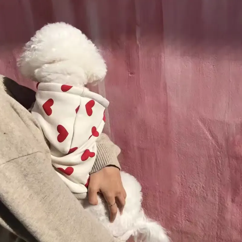 Heart Hoodies Dog Jumper