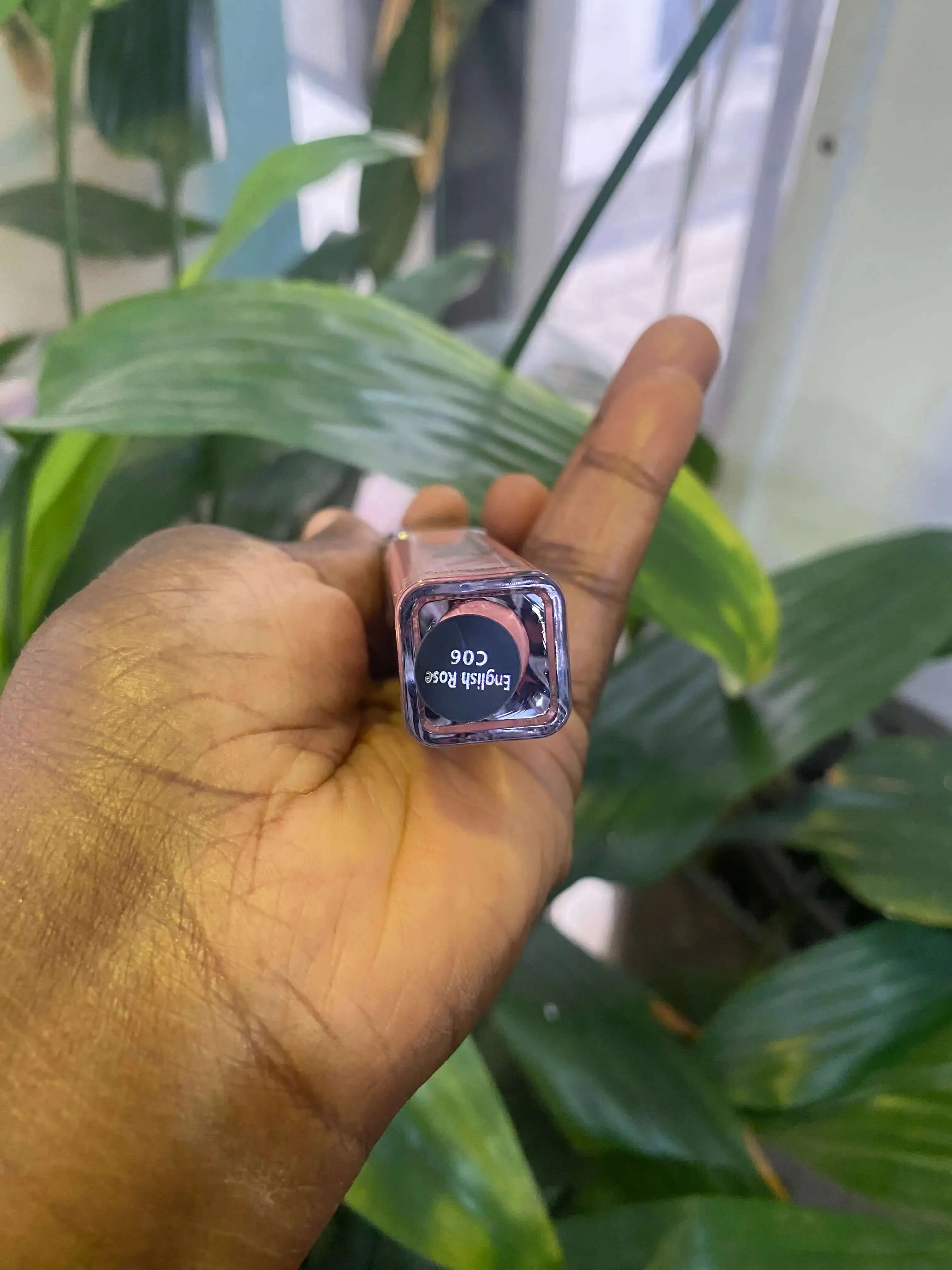 Imagic Nude Lipgloss