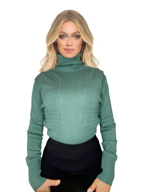 Kathie K Knit Neck Turtle Top
