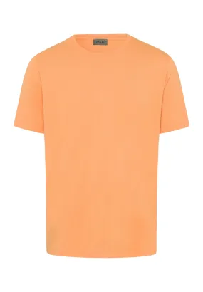 Living Shirts Jersey Cotton Crew Neck T-Shirt | Tangerine 75050-2273